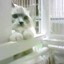 ちょっぴり今更ですが・・・