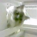 ちょっぴり今更ですが・・・
