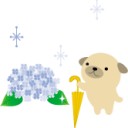 11ヶ月です