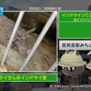 ま、そんな今日は