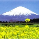 Mt. Fuji