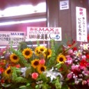 MAX PRESENTS LIVE CONTACT 2009 ”NEW EDITION”@神奈川県民ホール