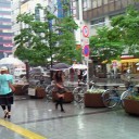 今日は追っかけ