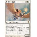 南極・北極の極地保護