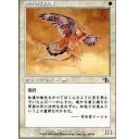 南極・北極の極地保護
