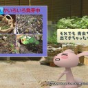 ガーデニング過酷話