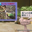 ガーデニング過酷話