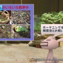 ガーデニング過酷話