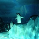 水族館