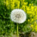 風が吹く前に