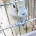 愛想がよくなってました