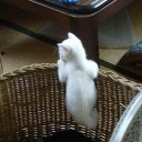 今日は雨の一日でした。