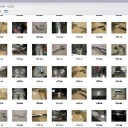 串刺しヤモリの快進撃！　“元祖壊し屋本舗、大活躍”　の巻