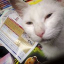 今晩は少し寒かった。
