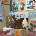 6月5日。