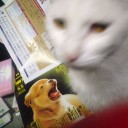今日は、暑かったです。