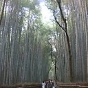 6月7日の日記