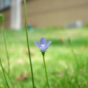 月曜〓花と計算式と〓