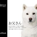 ６月病