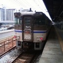 飼ってもいいぜ・・・・・
