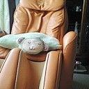 癒されてきました♪