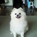 癒されてきました♪