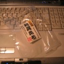 不毛の地に花咲く日まで　　“９９％の努力と１％の諦め”　の巻