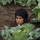 カメレオン君・・・・・