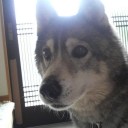 突然の旅立ち