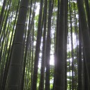女ってやつはまったく