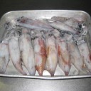釣果のイカ