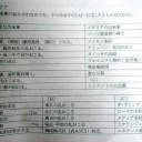日本とイタリア