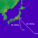 めずらしく