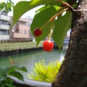 なかなかエンジンがかからないけど