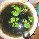 愛とはっちゃけの日々　“劣化ウラン弾、ハリネズミの醍醐味を知る”　の巻