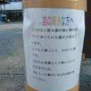 ねこだまり