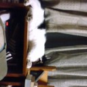 暑い