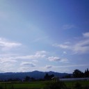 予想外。