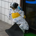 月曜〓雨とメールと〓