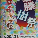 文化祭