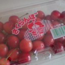 今年は