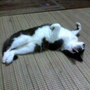 「運」と「命」を一緒くたにしなぁ～い！！！