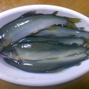 Ａｒｅ　Ｙｏｕ　ｗａ　Ｓａｋａｎａ？