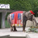ハナコとタカヨ