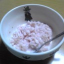 フローズンヨーグルトーヽ(・∀・)ノ
