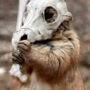 あばよなみだ