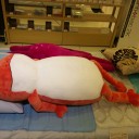 ぽってん