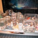 貝殻＋貝殻＋貝殻＋貝殻＋貝殻＋貝殻＋蟹＝２００６夏の思い出　“こんな感じでいいですか？”　の巻
