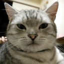 奇跡の一枚