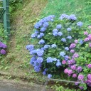 箱根に行ってきたよ